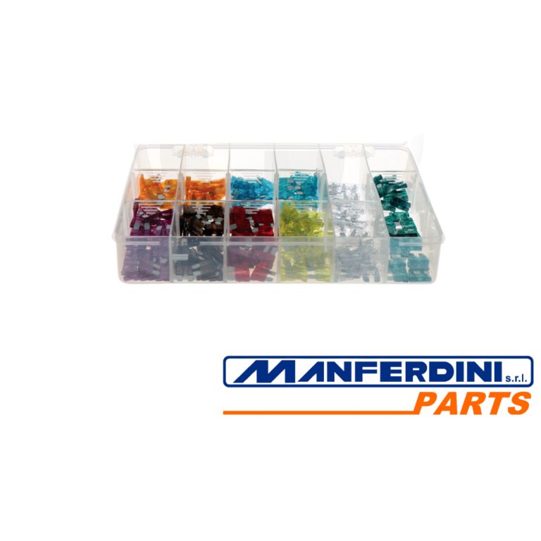 ASSORTIMENTO FUSIBILI LAMELLARI GRA50099023